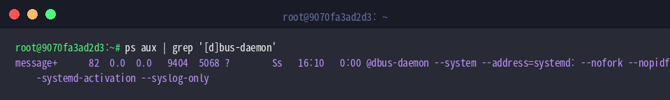 Viewing running dbus-daemon processes