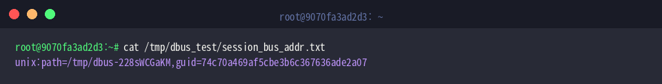 Displaying the generated session bus address