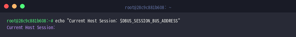 Checking DBUS_SESSION_BUS_ADDRESS in the host environment