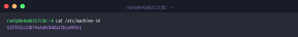 Displaying contents of /etc/machine-id to verify value alignment