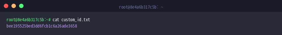 Reading custom_id.txt contents