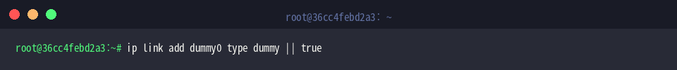 ip link add dummy0 type dummy || true