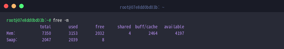 Inspecting memory metrics with free